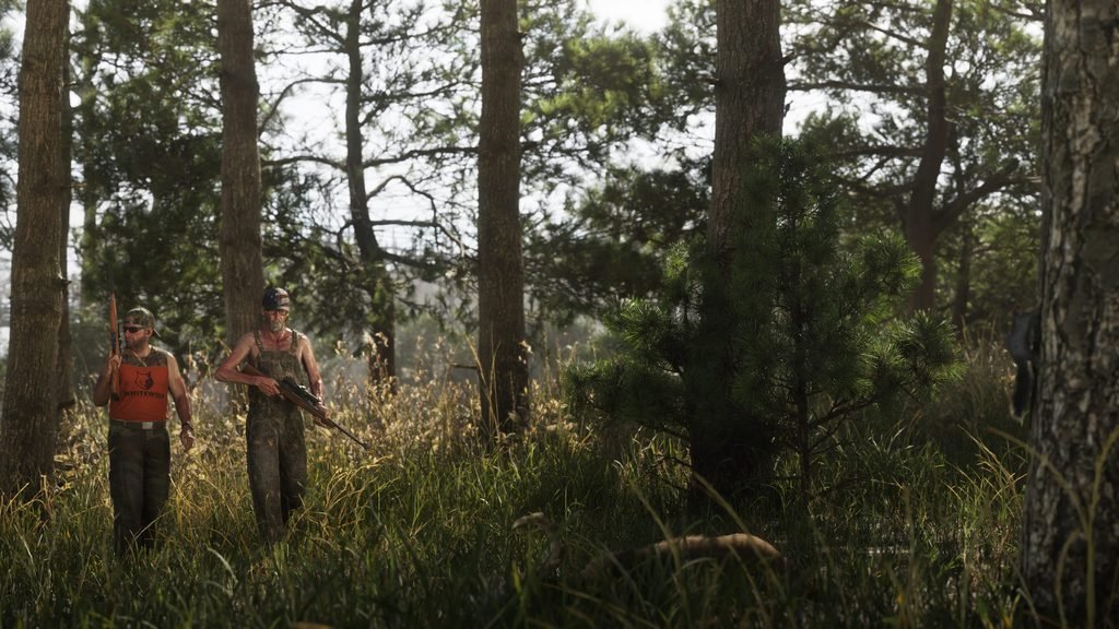 Mount_Kalaga_National_Park_03